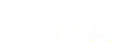 Visa main logo