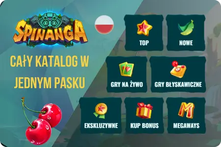 Katalog slotów spinanga casino z podkategoriami gier