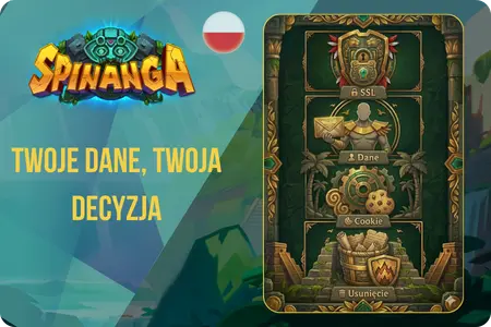 Cztery filary ochrony danych w Spinanga SSL cookie RODO