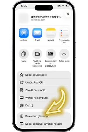 Opcja dodania skrótu na ekran główny iOS